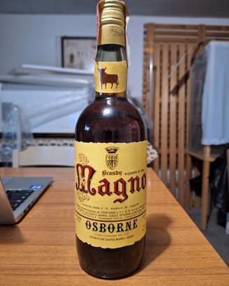 brandy magno osborne