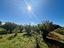 Immagine 29