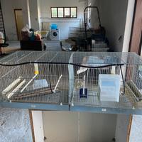 2 Voliere - 3 Gabbia + accessori