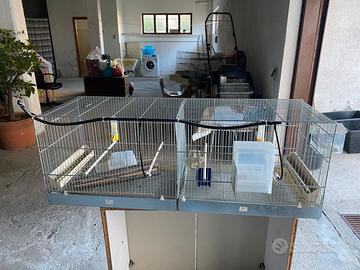 2 Voliere - 3 Gabbia + accessori