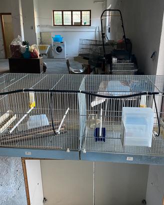 2 Voliere - 3 Gabbia + accessori