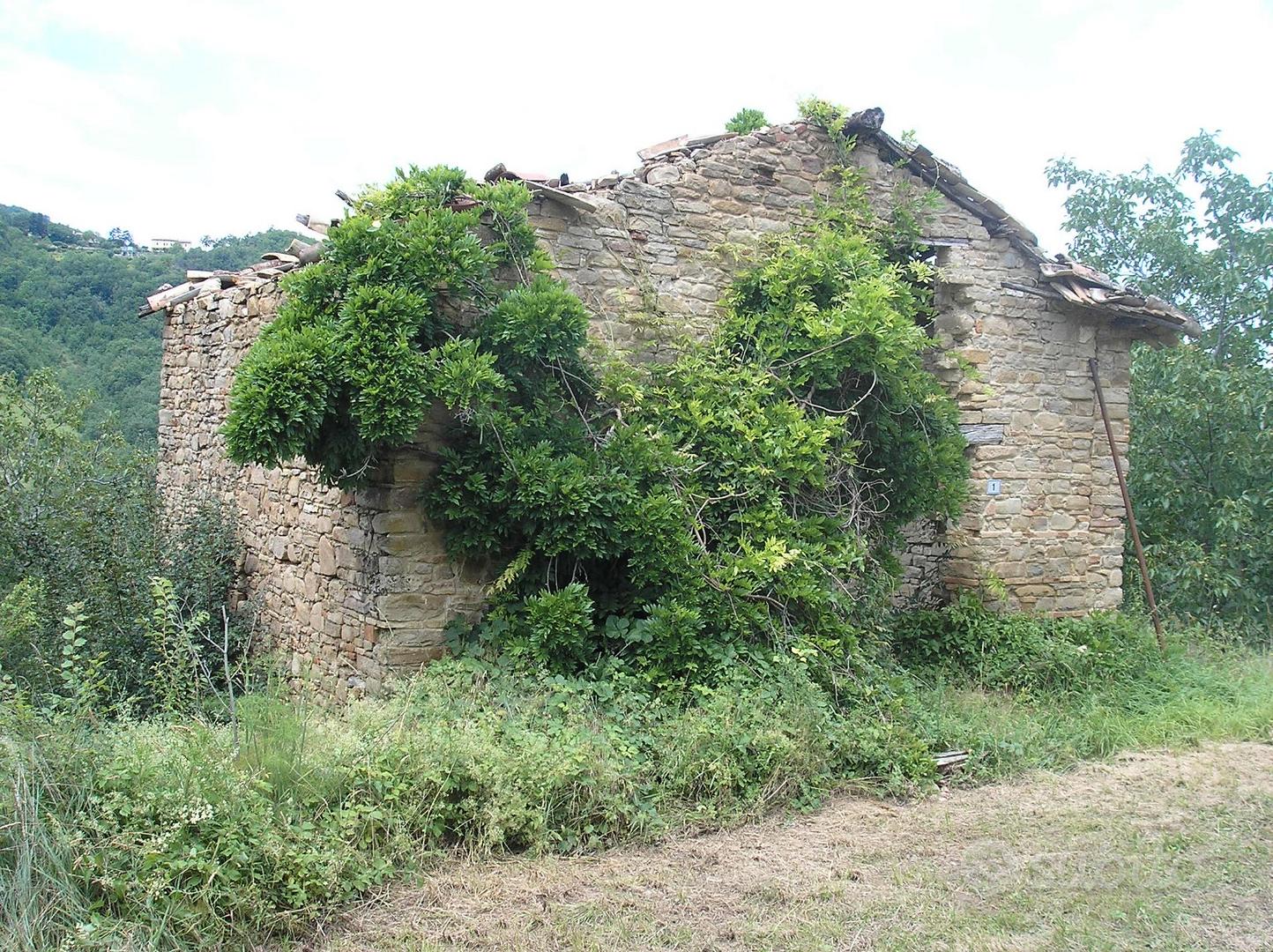Rustico da ricostruire con terreno circostante - Vista 5