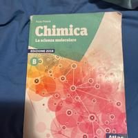 Libri scolastici: chimica la scienza molecolare