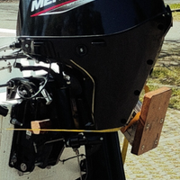 Motore fuoribordo mercury f30 elpt