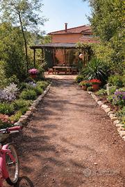 Villetta immersa nel verde. NISPORTO