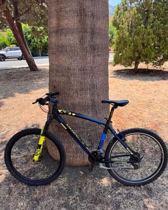 Bicicletta🚲
