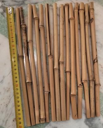 Decorazioni canne di bambu per vaso 14pz