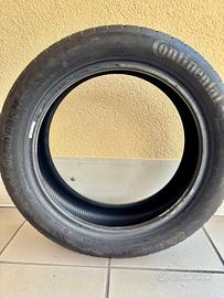Gomme estive continental
