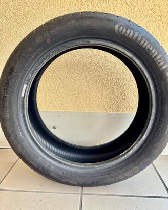 Gomme estive continental