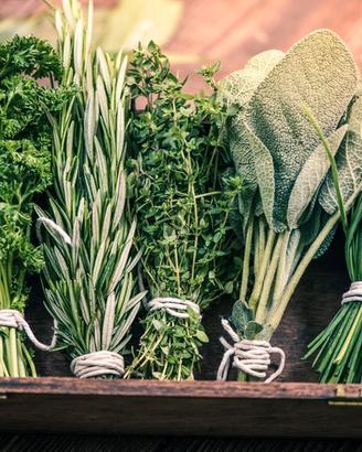 Terreno 4440 mq vicinanze S.S.16 Bari-Torre a mare