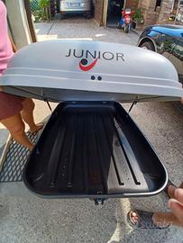 Box portabagagli per auto