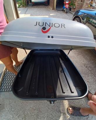 Box portabagagli per auto