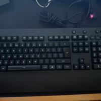 Logitech G213 keyboard