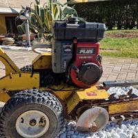 catenaria Carlson tr 12