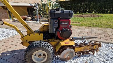 catenaria Carlson tr 12