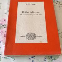 IL LIBRO DELLE RUPI 