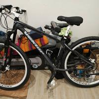 MTB Vektor 29 