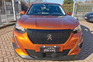 Peugeot 2008 Blue HDI 110 CV Active