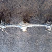 Assale / Ponte Posteriore Suzuki Ignis 4x4 M15A 20