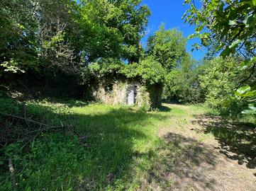 CASA INDIPENDENTE A OTRICOLI