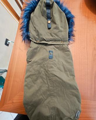 giubbino Record invernare