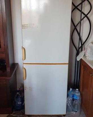 frigo
