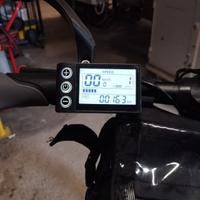 Bicicletta elettrica