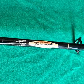 canna da spinning mare 