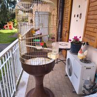 Gabbia per pappagalli 