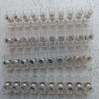 NUOVI set 40 morsetti elettrici B100 500V