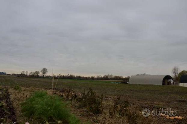 Terreno agricolo a Borgoricco (PD)