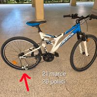 bicicletta 