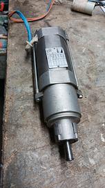 motoriduttore x cancelli