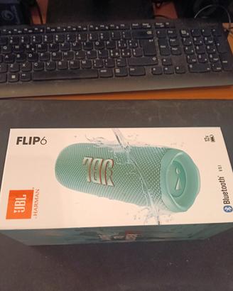 JBL flip 6