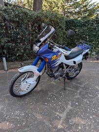 Honda NX 650 Dominator 