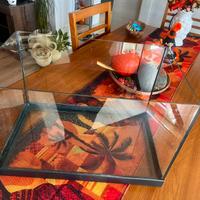 Acquario pesci rossi