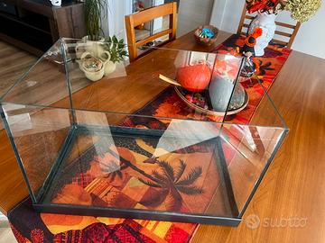 Acquario pesci rossi