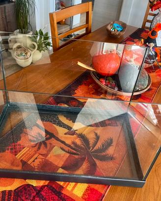 Acquario pesci rossi