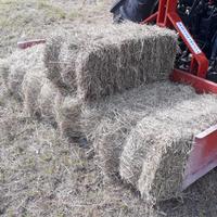 Ballette di fieno primo taglio prato di montagna 
