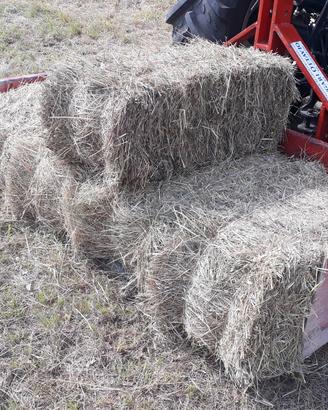 Ballette di fieno primo taglio prato di montagna 