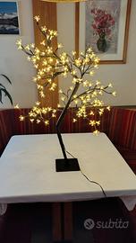 Albero illuminante