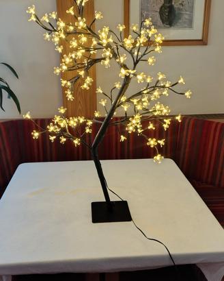 Albero illuminante