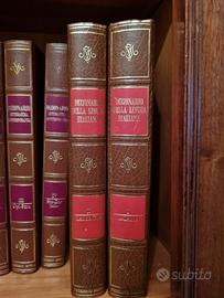 Dizionario della Lingua Italiana di Federico Motta