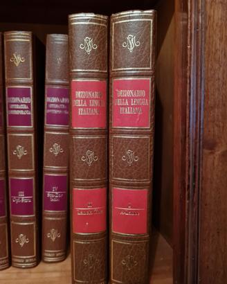Dizionario della Lingua Italiana di Federico Motta