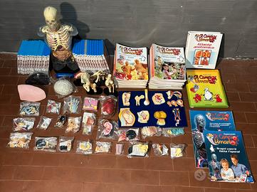 Collezione Completa “ Esplorando il corpo umano”