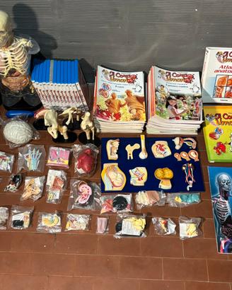 Collezione Completa “ Esplorando il corpo umano”