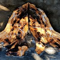 coppia di assi di ulivo Salentino lett. "K"