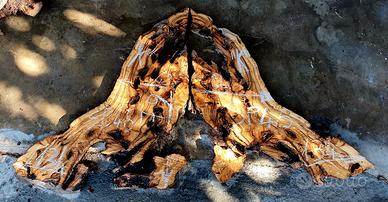 coppia di assi di ulivo Salentino lett. "K"