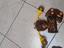 Immagine 3
