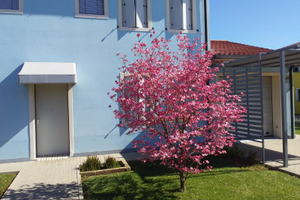 Casa singola vicino a Este